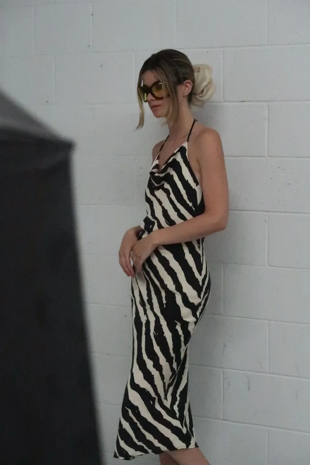 Zebra Print Linen Maxi Dress